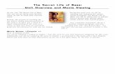 The Secret Life of Bees, Unit Overview and Movie Notes