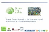 Green Bonds: financing the development of low carbon ...