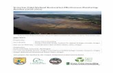 Ni-les’tun Tidal Wetland Restoration Effectiveness ...