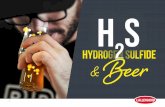 Hydrogen Sulfide Beer 2 - lallemandbrewing.com