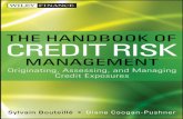 The Handbook of Credit Risk Management: Originating ...