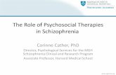 The Role of Psychosocial Therapies in Schizophrenia