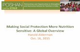 Making Social Protection More Nutrition Sensitive: A ...