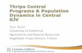 Thrips Control Programs & Population Dynamics in Central SJV