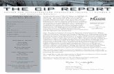 the cip report - Energy