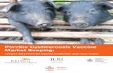 Porcine Cysticercosis Vaccine Market Scoping