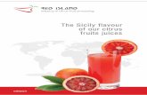 Red Island – Industry of Citrus Fruit Processing