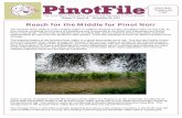 Volume 8, Issue 26 November 23, 2010 - Prince of Pinot