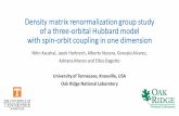 Density(matrix(renormalization(group(study( of ...