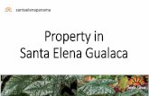 Property in Aqualina
