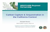 Carbon Capture & Sequestration in the California Context