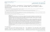 Research Paper LncRNA UCA1 mediates Cetuximab resistance ...