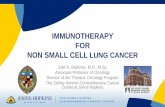 IMMUNOTHERAPY FOR NON SMALL CELL LUNG CANCER