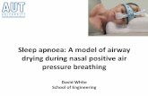 Sleep apnoea: A model of airway drying during nasal ...
