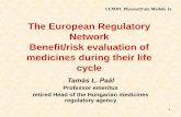 The European Regulatory Network Benefit/risk evaluation of ...