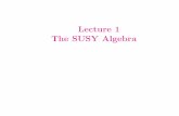 Lecture 1 The SUSY Algebra - University of Michigan