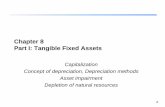 Chapter 8 Part I: Tangible Fixed Assets