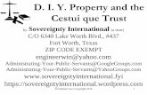 D. I. Y. Property and the Cestui que Trust