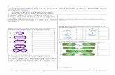 Bacterial Genetics and Operons, student learning guide ...