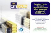 Execution Plan to Transform Citigold Corporation into a ...