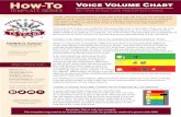 Soá ¾o Voice Volume Chart