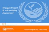 Drought Impact & Vulnerability Assessment