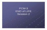 PCM-3 END of LIFE Session 2 - stritch.luc.edu