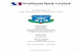 Internship Report on Credit risk management of Southeast ...