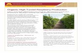 High Tunnel Raspberry Guide - University of Minnesota