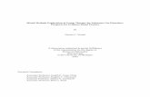 Mixed-Methods Exploration of Group Therapy for Substance ...