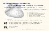 TheFirst Morphology Seminar of Congenital Heart Disease