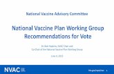 National Vaccine Plan Working Group Recommendations for Vote
