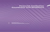 Financial Institution Soundness and Resilience