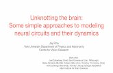 Unknotting the brain: Some simple approaches to modeling ...