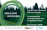 Towards Circular Bioeconomy in the Czech Republic The ...