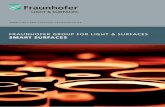 FRAUNHOFER GROUP FOR LIGHT & SURFACES SMART SURFACES