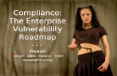 Compliance: The Enterprise Vulnerability Roadmap