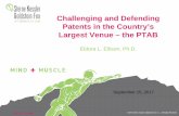 Challenging and Defending Patents in the Country’s Largest ...