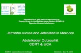 JatroMed First International Workshop on Energy Crops in ...