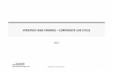 STRATEGY AND FINANCE CORPORATE LIFE CYCLE