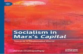 Socialism in Marx’s Capital