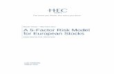 A 5-Factor Risk Model for European Stocks