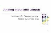 Analog Input and Output
