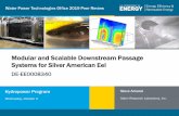 Modular and Scalable Downstream Passage Systems for Silver ...