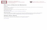 Marvels of Bacterial Behavior - Harvard University