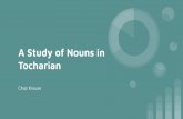 Tocharian A Study of Nouns in