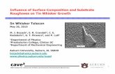 Bozack - Sn Whisker Telecon Presentation.ppt