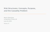 Risk Structures: Concepts, Purpose, and the Causality Problem
