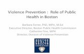 Division of Violence Prevention Overview