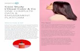 Case Study L’Oreal Color & Co ONE COMPLETE DATA ...